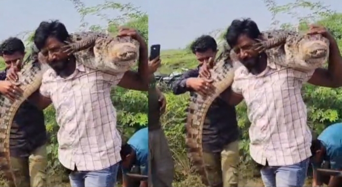 Rajasthan News : खूंखार मगरमच्छ को जब बच्चों की तरह अपने कंधे पर उठाया, रोंगटे खड़े कर देगा यह वीडियो