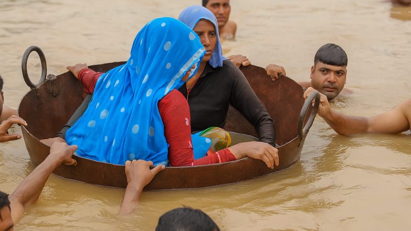 गर्भवती