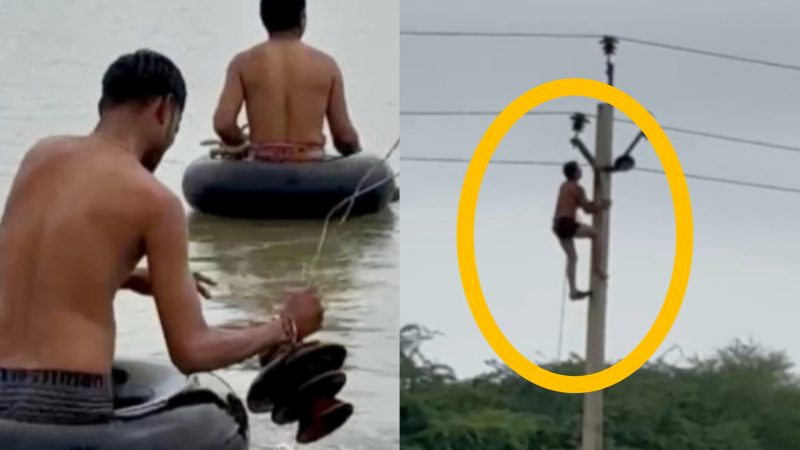 बिजली ठीक करने के लिए जान ही जोखिम में डाल दी, दिल जीत लेगा यह वीडियो