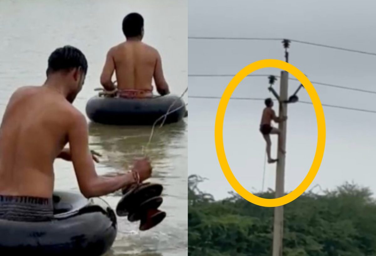 बिजली ठीक करने के लिए जान ही जोखिम में डाल दी, दिल जीत लेगा यह वीडियो
