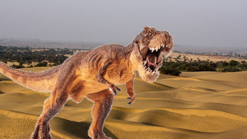 जैसलमेर में डायनासोर के अवशेष! जानकार हो जाओगे हैरान