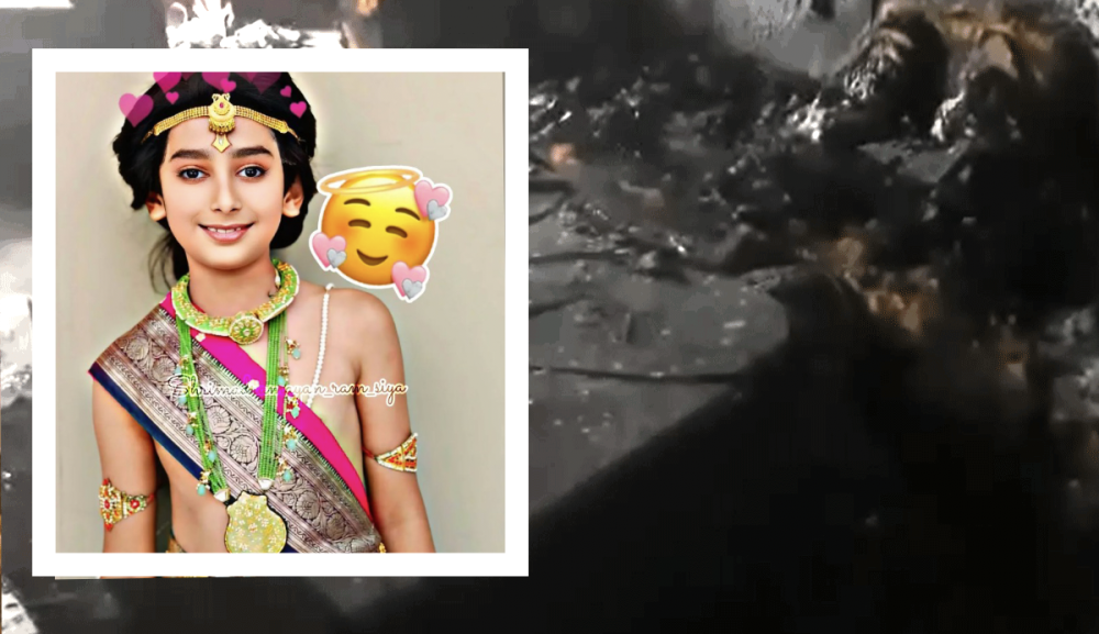 बाल कलाकार समेत दो की दर्दनाक मौत, जानिए कैसे हुआ हादसा