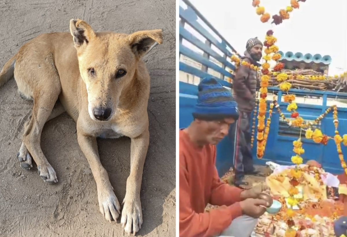 कुत्ते की अंतिम विदाई में उमड़े ग्रामीण, इस वजह से ग्रामीणों ने गाजे-बाजे के साथ दी विदाई, हैरान कर देगी खबर
