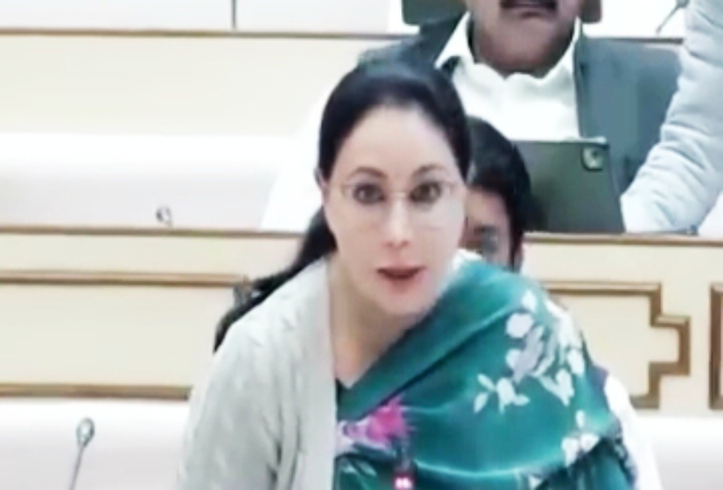 डिप्टी सीएम दिया कुमारी ने दिखाई आंख, कहा उत्तेजित होने की जरुरत नहीं, ऐसा क्या हुआ, देखिए Video